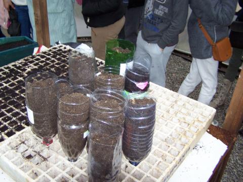 Reutilização de garrafas - vasos ecológicos